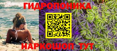 spice Бугуруслан