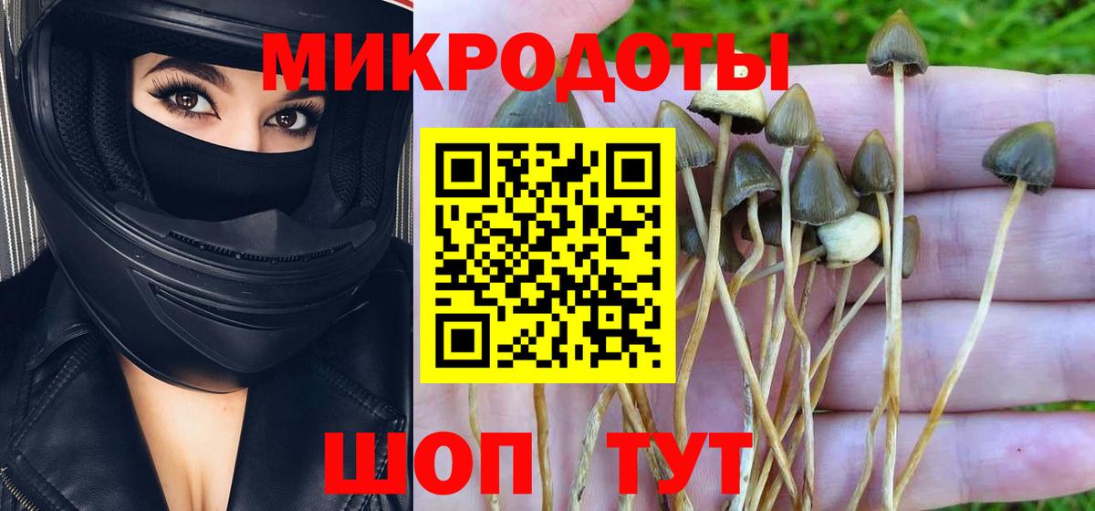 Псилоцибиновые грибы Magic Shrooms  где продают   Кузнецк  Вход с VPN 